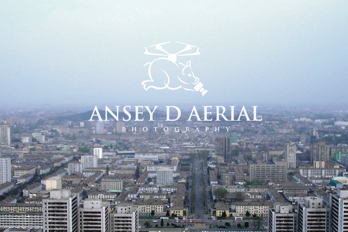 Logo Design by ideaz2050 for Ansey D Aerial | Design #11854928