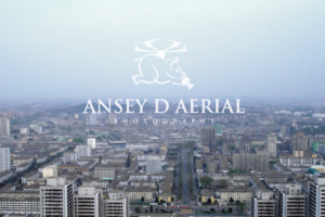 Logo Design by ideaz2050 for Ansey D Aerial | Design: #11854928