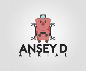 Logo Design by laragdan for Ansey D Aerial | Design: #11832559