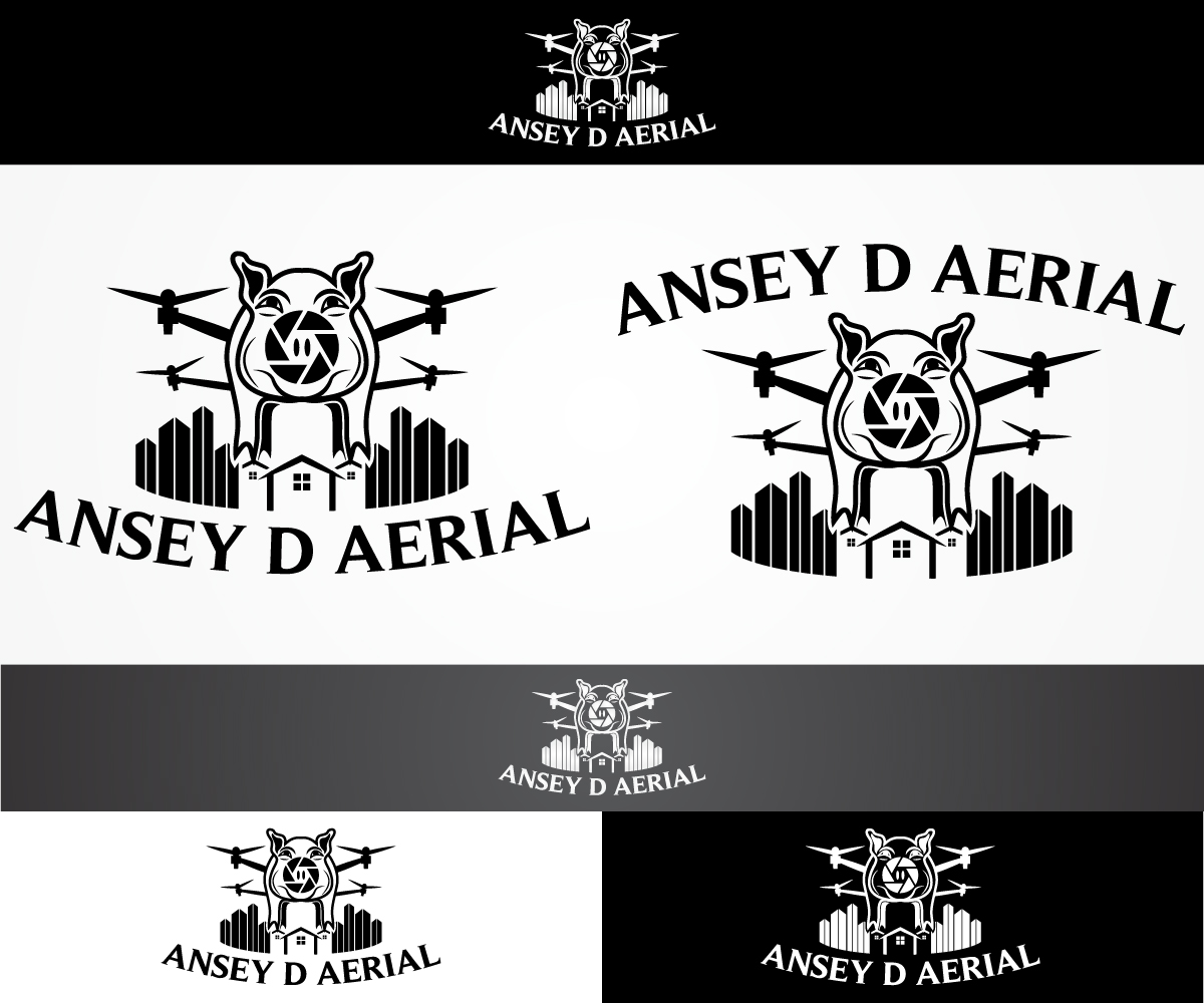 Logo Design by sangeloenriquez for Ansey D Aerial | Design #11840492