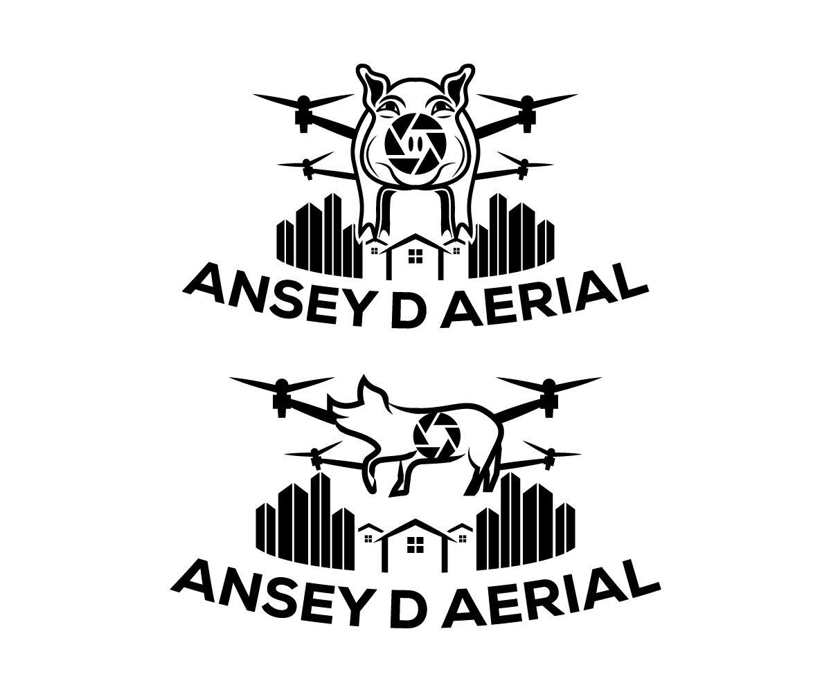Logo Design by sangeloenriquez for Ansey D Aerial | Design #11851097