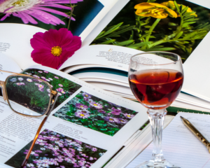 Photography by Swish1940