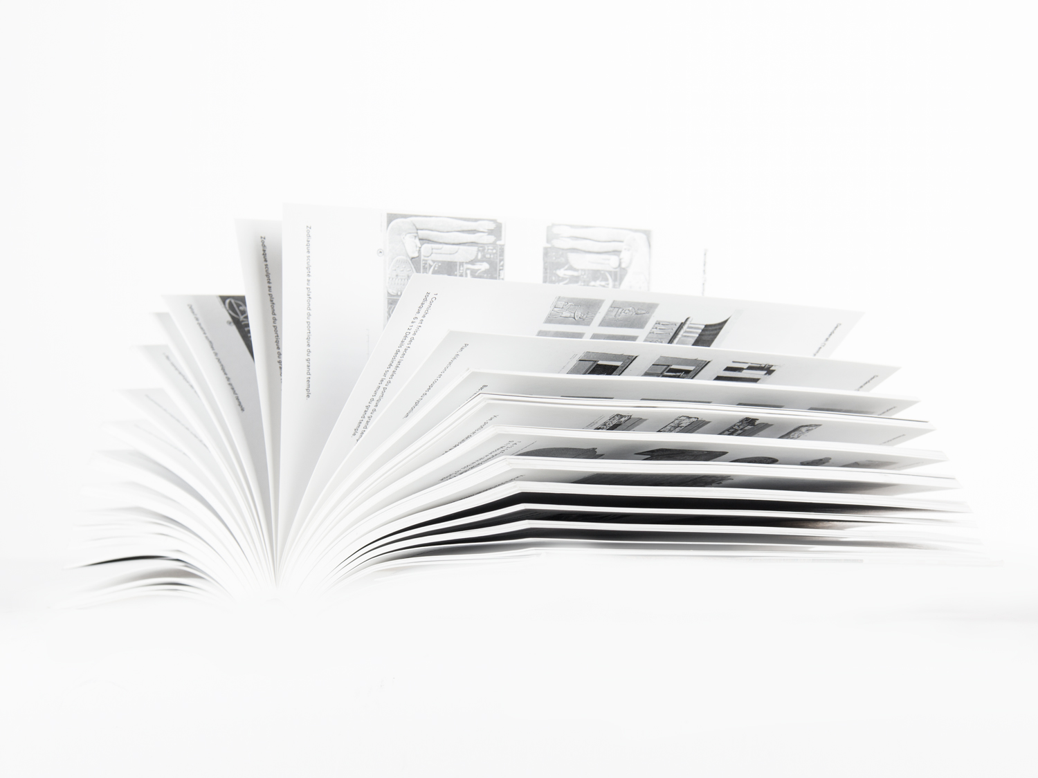 Photography by Alireza Shekouhian for DesignCrowd (Community Contests) | Design #11930873