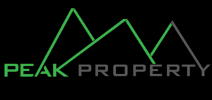 Logo Design by thepurplestudioz
