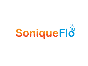 Logo Design by Bling Connect Ink for this project | Design: #2360628