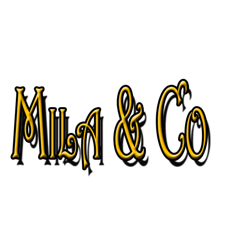 Logo Design by Brenyo for this project | Design #2407893