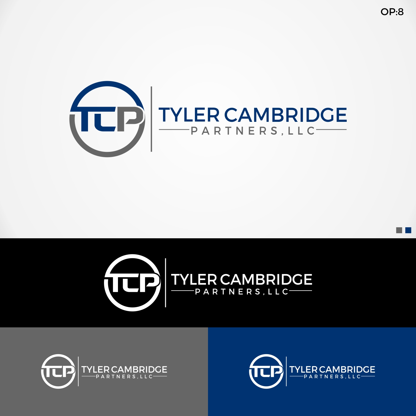 Logo Design by Jenny for Tyler Cambridge Partners, LLC | Design: #11892997