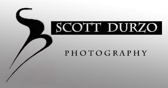 Logo Design by gabrielaS for Scott Durzo's Total Sport Camp | Design #2358179