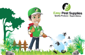 Illustration Design by Shiny Design