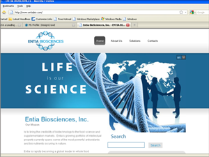 Design de Logo par Ramaling Belkote pour ce projet | Design : #492840