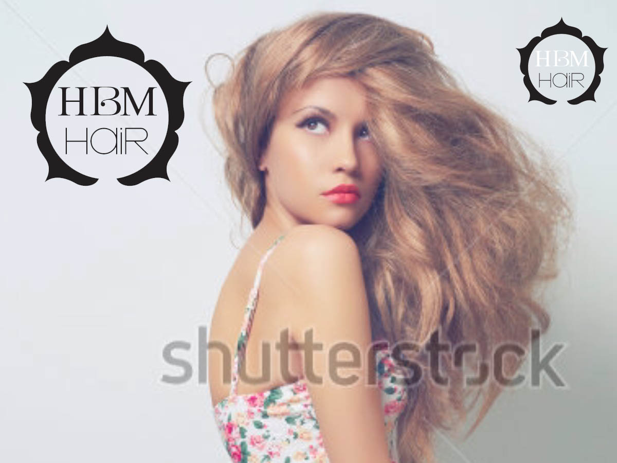 Logo Design by alice007 for HBM Hair | Design #11859319