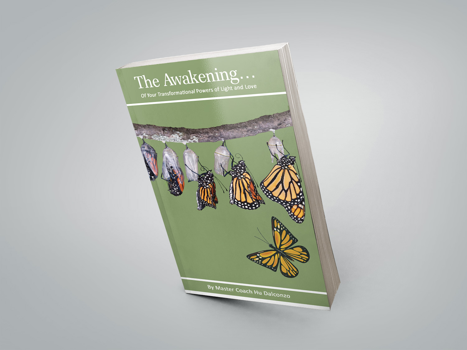 Book Cover Design by Lanka Ama for HolisticLearningCenter.com | Design #11875871