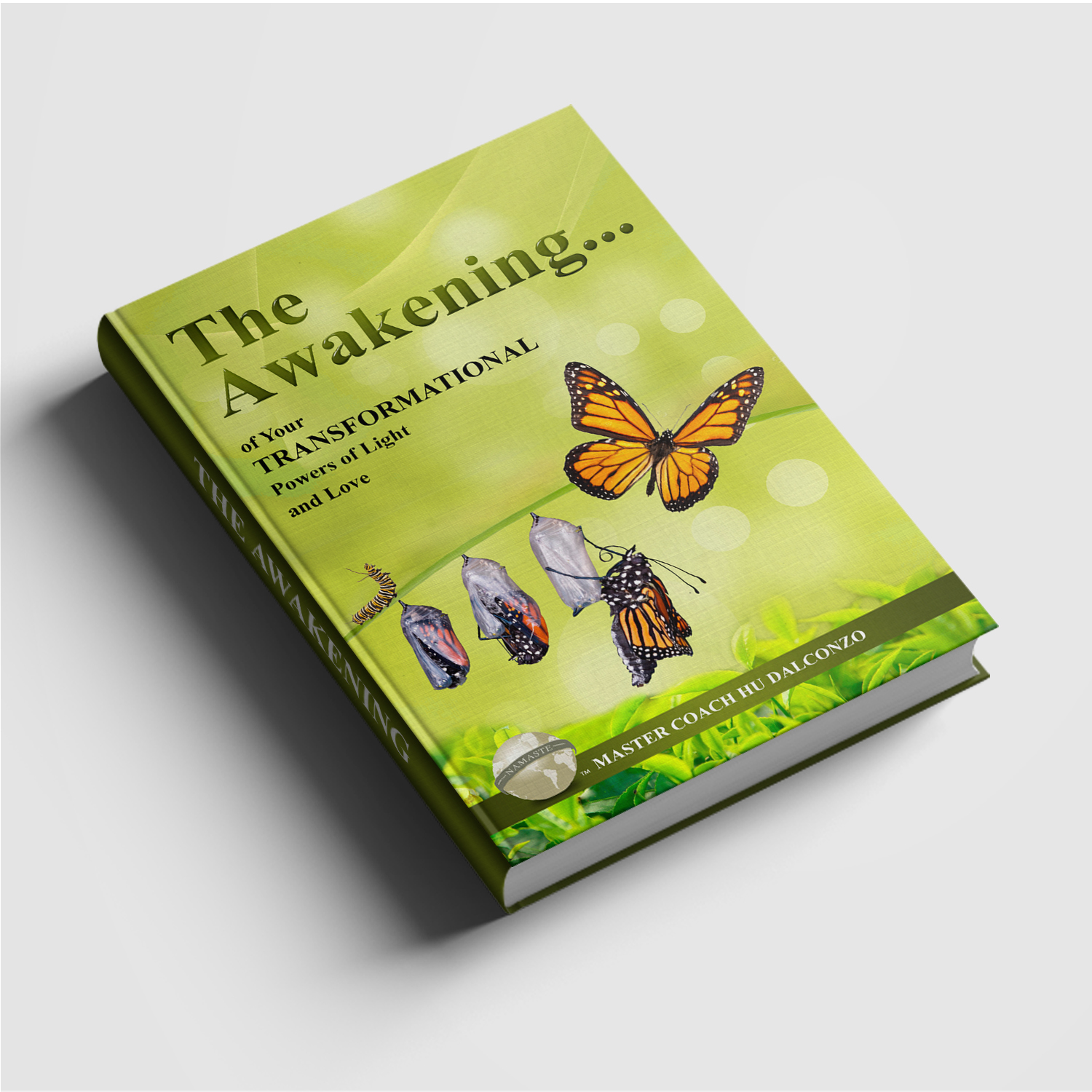 Diseño de portada de libro por SAI DESIGNS para HolisticLearningCenter.com | Diseño #12085408