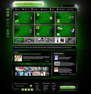 Web Design by Femi Farins