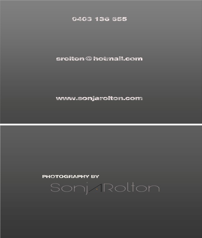 Business Card Design by glndkat for this project | Design #505750