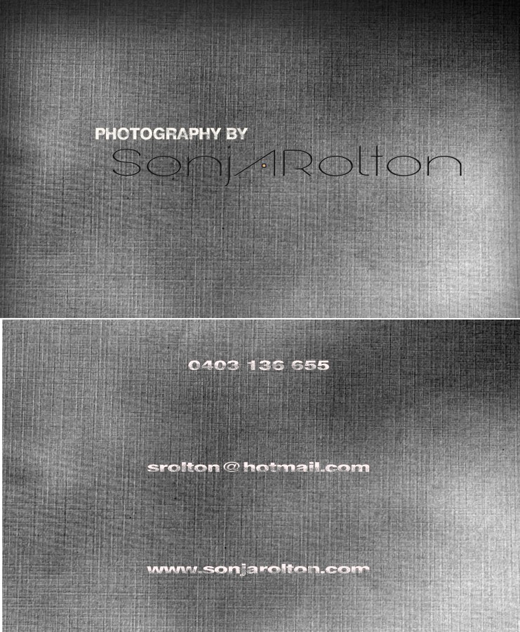 Business Card Design by glndkat for this project | Design #505763