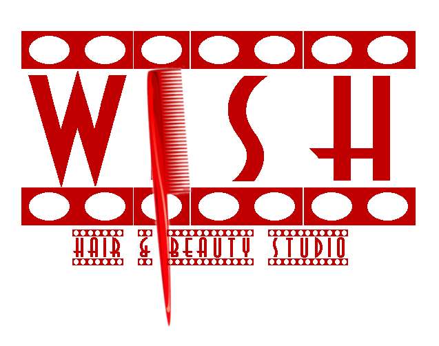Logo Design by Nina Eichhorn for Wish Hair  Beauty Studio | Design #513578