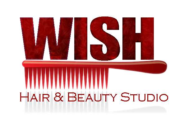 Design de Logo par Nina Eichhorn pour Wish Hair  Beauty Studio | Design #513587