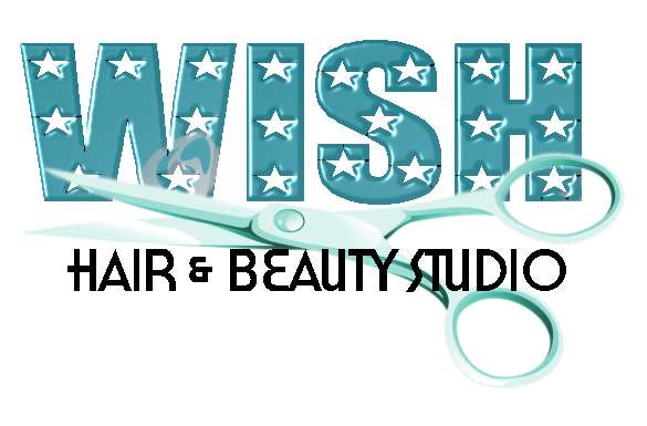 Logo Design by Nina Eichhorn for Wish Hair  Beauty Studio | Design #515161