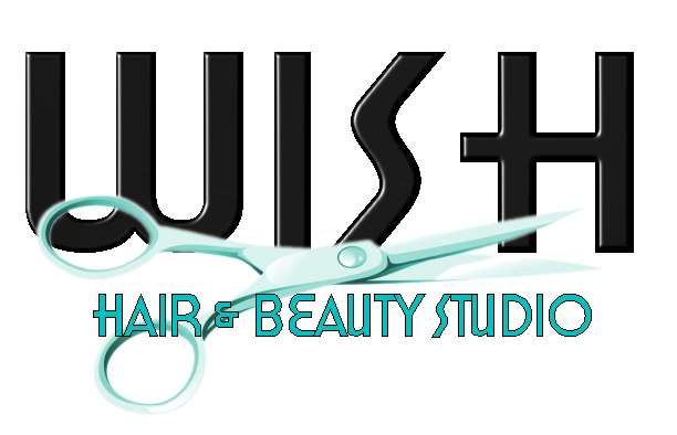 Logo Design by Nina Eichhorn for Wish Hair  Beauty Studio | Design #515162