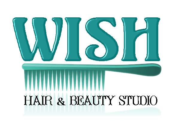 Logo Design by Nina Eichhorn for Wish Hair  Beauty Studio | Design #515163