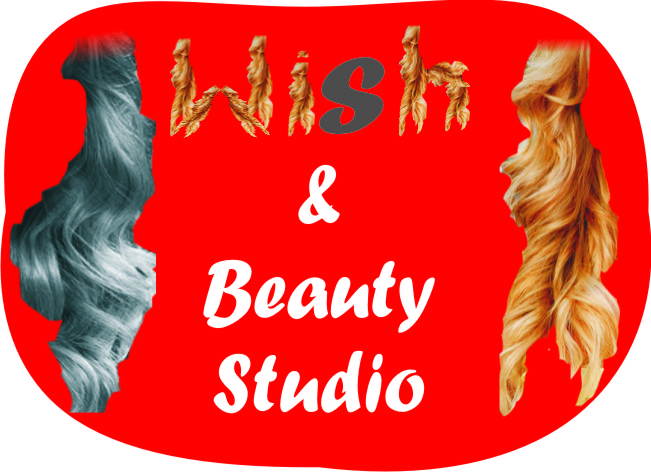 Logo Design by Maahi for Wish Hair  Beauty Studio | Design #511732