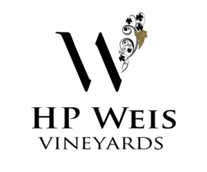 Logo Design by Colleen Pote