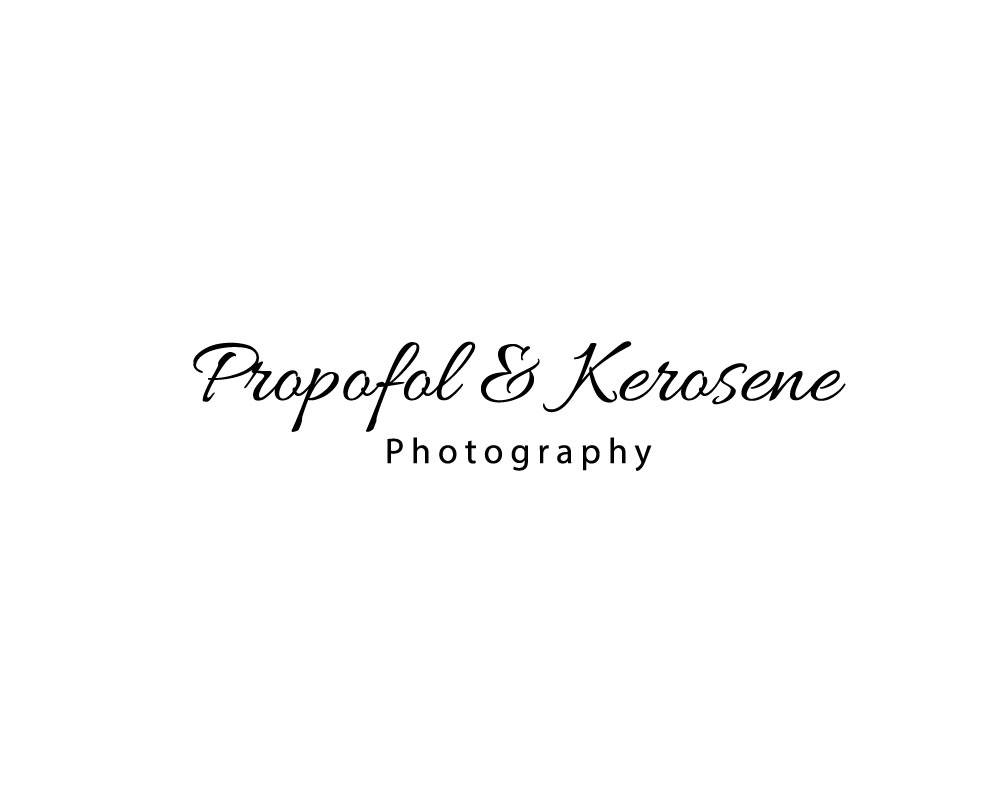 Logo-Design von logomaster24 für dieses Projekt | Design #11884693