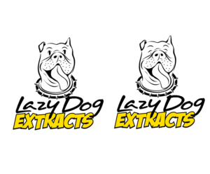 Logo Design by blue eye