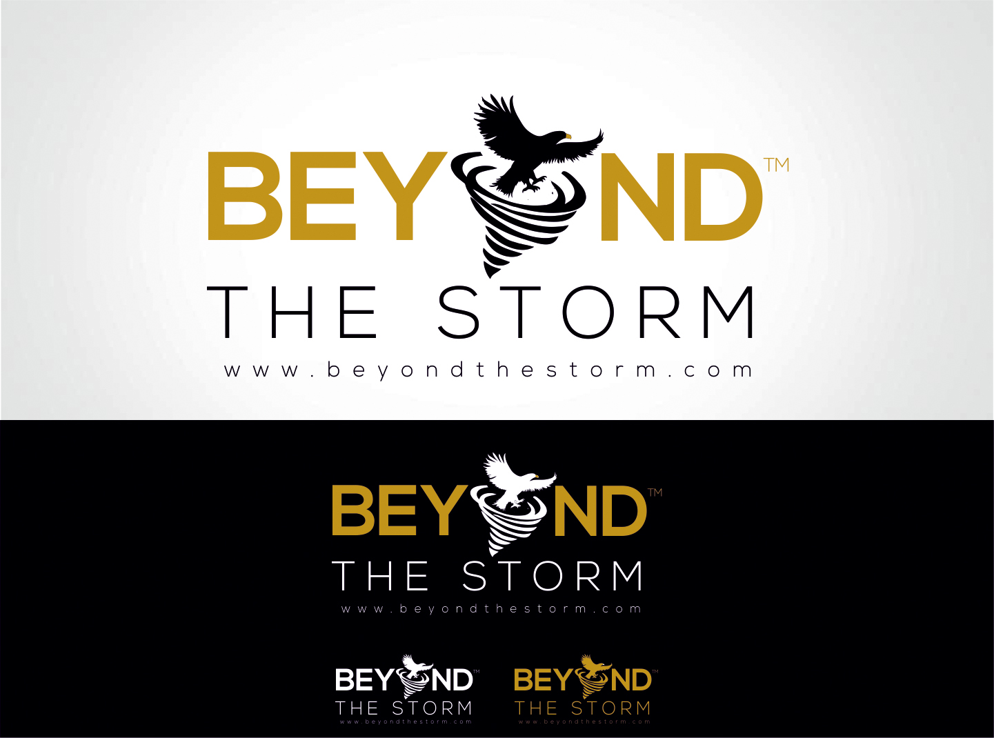 Logo-Design von nikkiblue für Beyond the Storm | Design #11973864