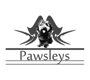 Logo Design by Xheneta Jetishi for Pawsleys | Design: #12041041