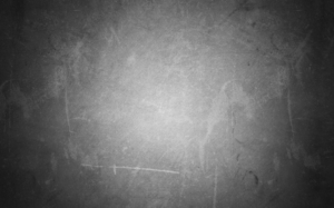 Logo Design by Xheneta Jetishi for Pawsleys | Design: #12041106