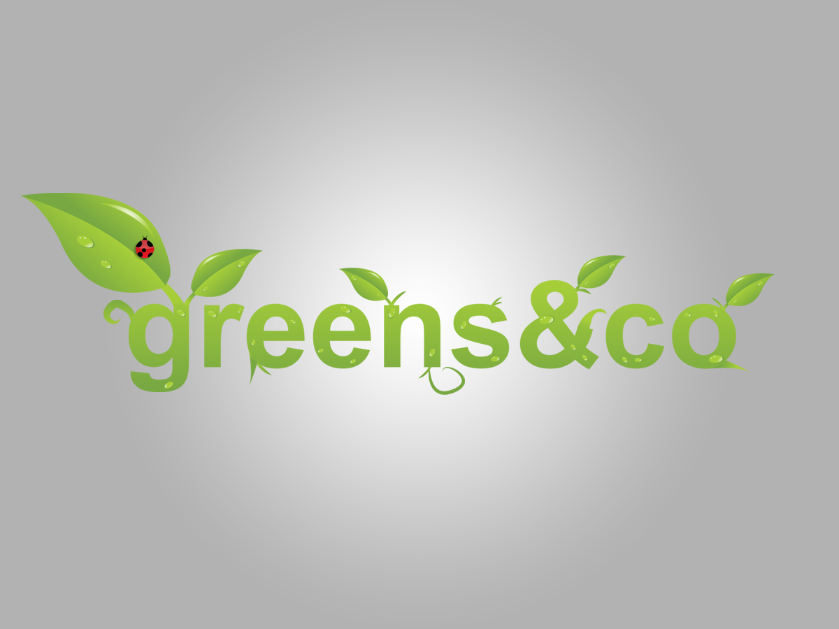 Logo Design by Ogden Designs for this project | Design #494102
