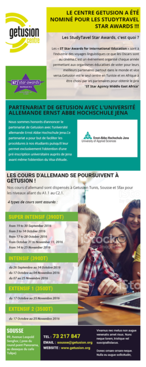 Newsletter | Diseño Web por Expert Designer