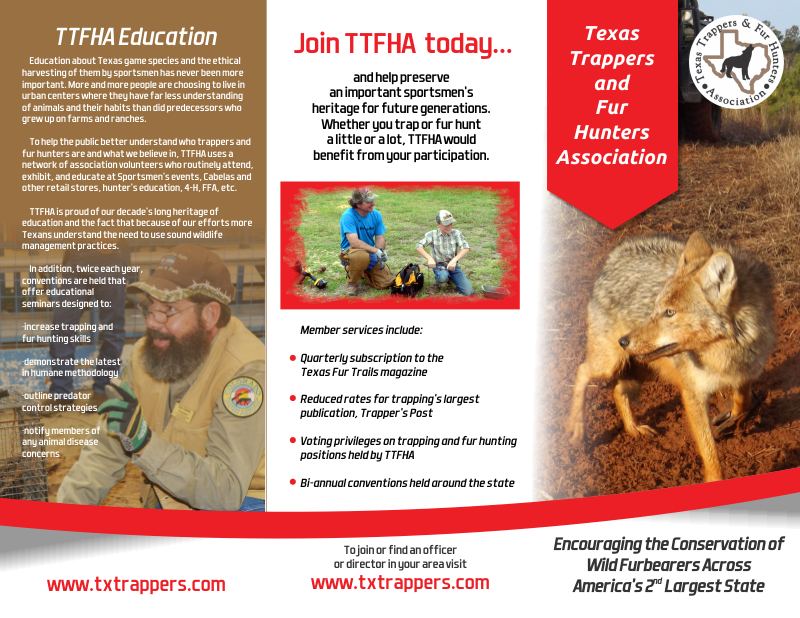 Diseño de Brochure por Amduat Design para mark junes lures | Diseño: #11978519