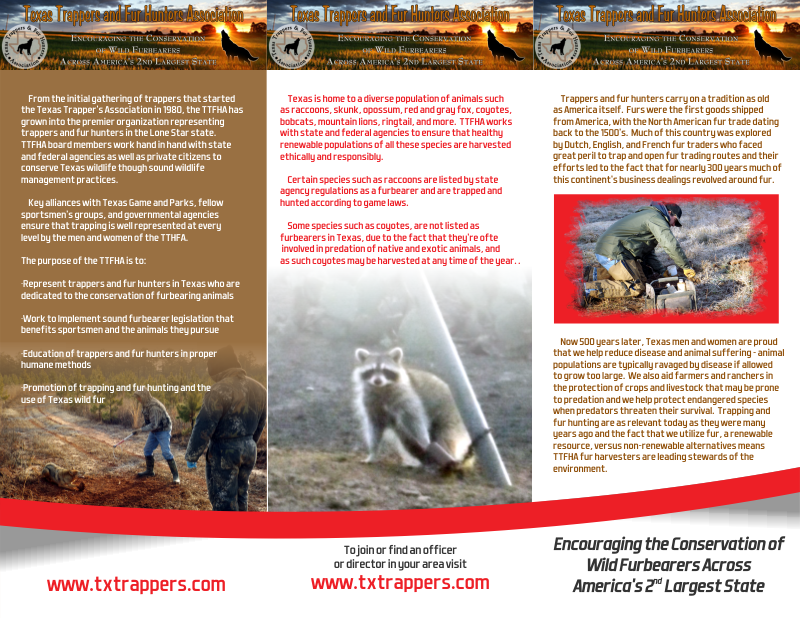Brochure Design by Amduat Design for mark junes lures | Design #11981579