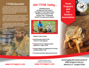 Diseño de Brochure por Amduat Design para mark junes lures | Diseño: #11983635