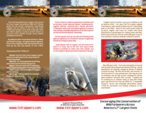 Diseño de Brochure por Amduat Design para mark junes lures | Diseño: #11999324