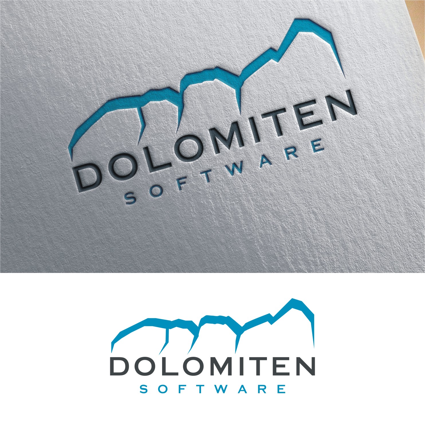 Logo Design by Sushma for Dolomiten Software | Design #11882422