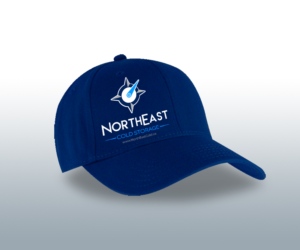 Northeast Cold Storage www.northeastcold.ca | Diseño de Logo por El Ojo creativo
