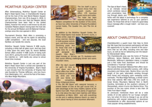 Flyer Design by Sergio Coelho for UVA Athletics | Design: #11890512