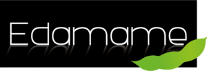 Logo Design by Zenith Studio