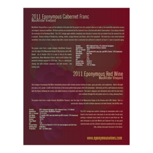 Flyer Design by Chauá Studio