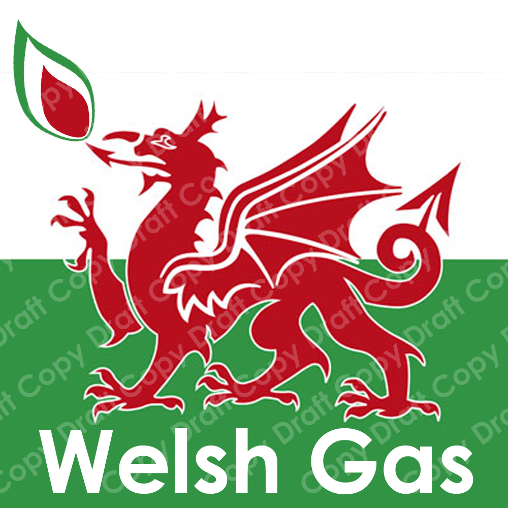 Logo Design by Scott Parry for Coffee Plus Newport ltd | Design #26111
