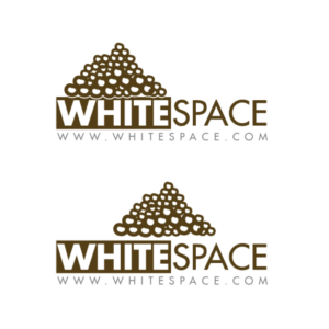 Logo Design by Master Moiz