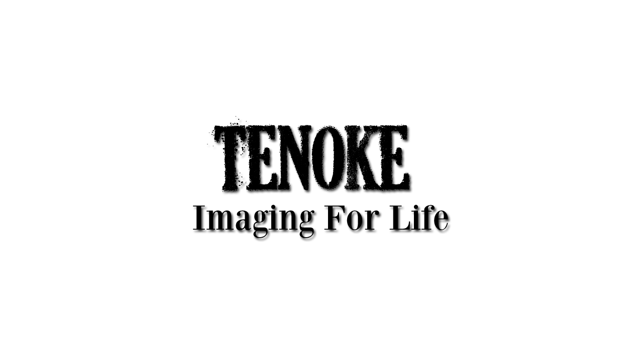 Logo Design by Mpaul730 for Tenoke Limited | Design #12006053