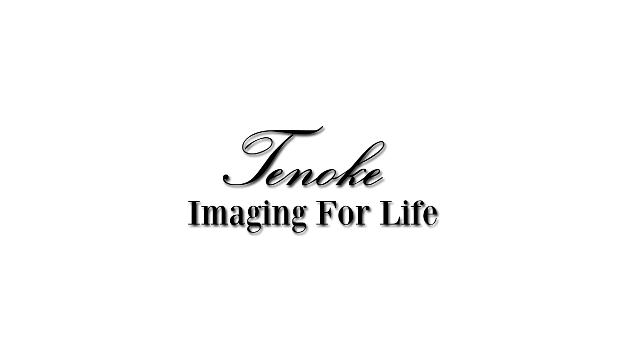 Logo Design by Mpaul730 for Tenoke Limited | Design #12006055