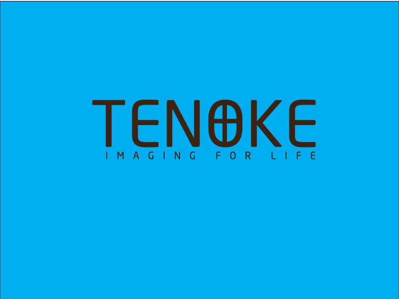 Logo Design by hrahman25091979 for Tenoke Limited | Design #11902850