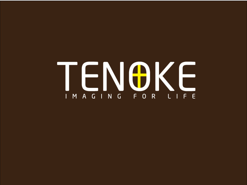 Logo Design by hrahman25091979 for Tenoke Limited | Design #11902851
