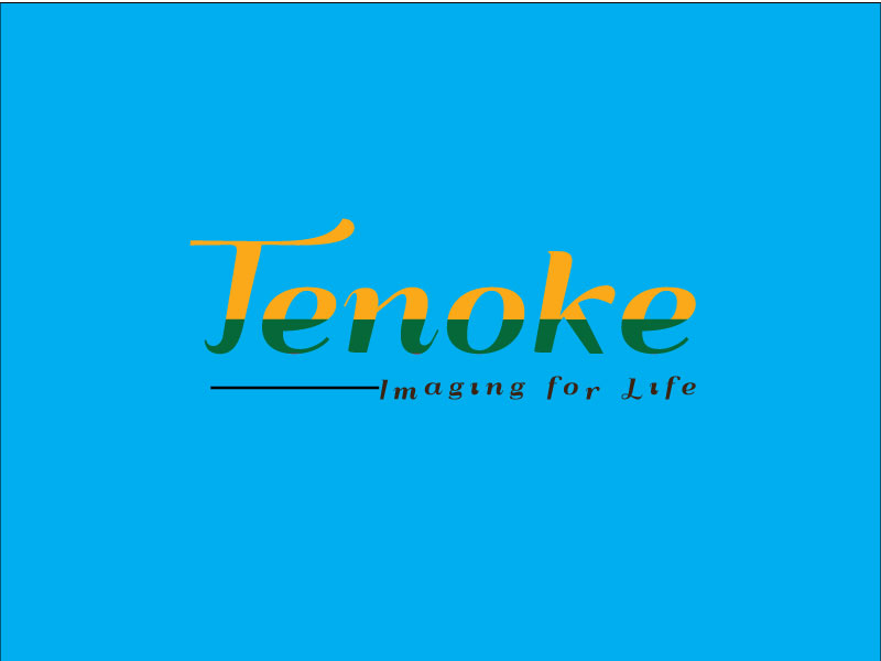 Logo Design by hrahman25091979 for Tenoke Limited | Design #11902853